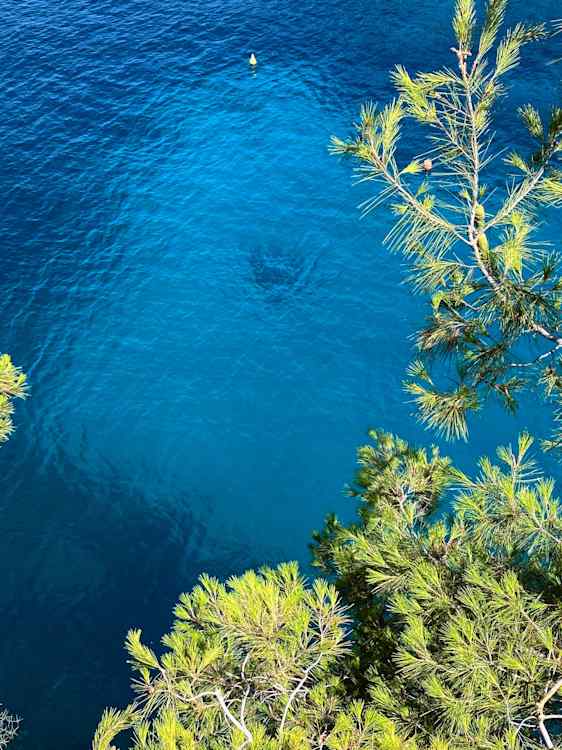 Havet är friskt och härligt vid Mallorca