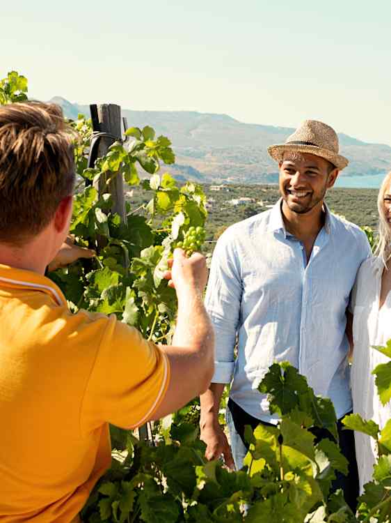 Guide och par bland vinrankor