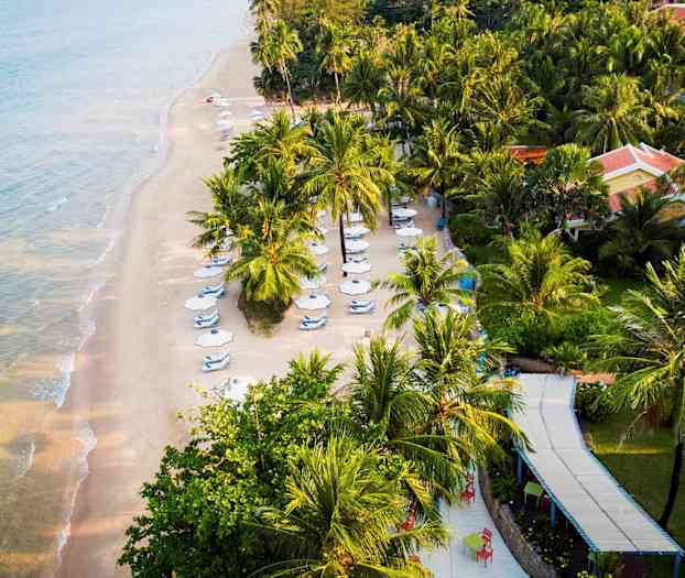 En sandstrand med blå parasoller och solstolar, omringad av palmträd och grönska. Till vänster syns havet med klart vatten. (AI-genererad text)