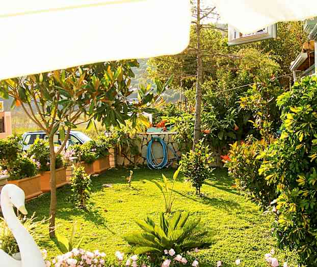 En grön trädgård med färgglada blommor och växter. (AI-genererad text)