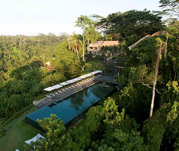 En infinitypool med solstolar vid kanten, omgiven av frodig tropisk skog. (AI-genererad text)