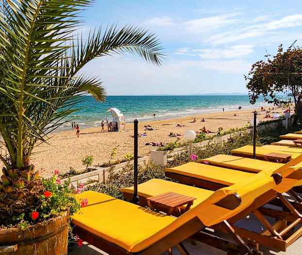 Bild av en solig sandstrand med gula solstolar, en palm i förgrunden och det blå havet i bakgrunden. (AI-genererad text)