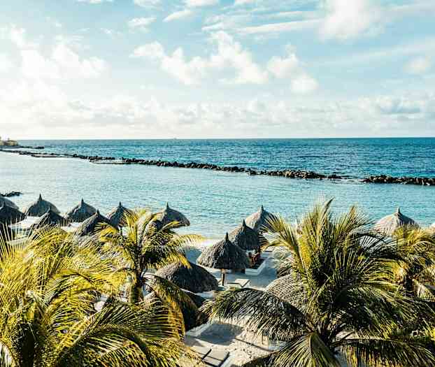 Strand med parasoller och palmer mot ett blått hav och stenbarriär. (AI-genererad text)