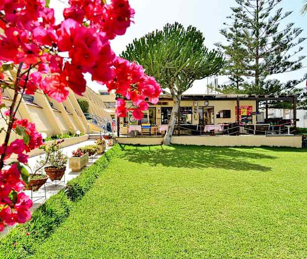 Bild på en gräsmatta framför en byggnad med träd och blommande rosa buskar. (AI-genererad text)