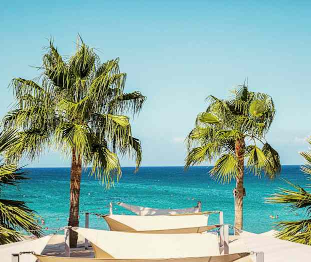 Palmer vid en strand med blått hav i bakgrunden. (AI-genererad text)