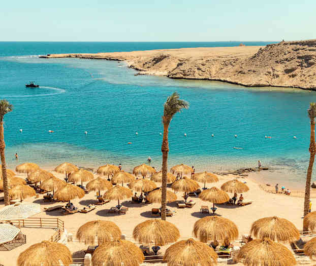 En sandstrand med parasoller, palmer och människor vid vattnet. (AI-genererad text)