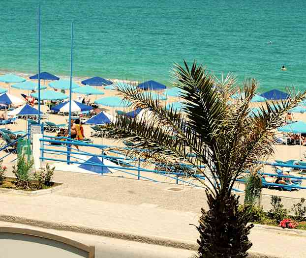 Strand med solstolar och parasoller nära havet, med en palm i förgrunden. (AI-genererad text)