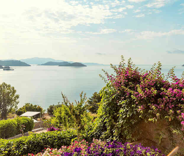 Utsikt över havet med öar i fjärran, omgiven av grönska och blommor. (AI-genererad text)