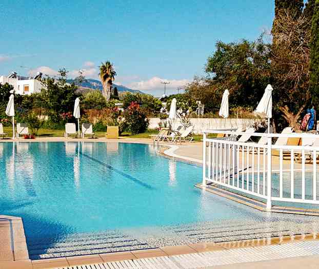 Utomhuspool med solstolar och parasoller vid sidan, omgiven av träd och växter. (AI-genererad text)