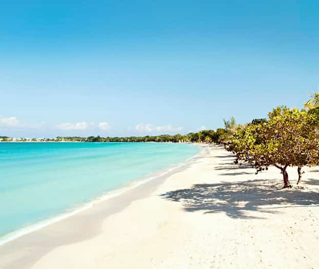 En strand med vit sand, blått hav och träd längs kusten under en klarblå himmel. (AI-genererad text)