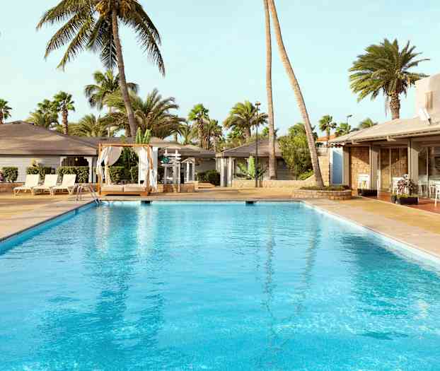 En swimmingpool omgiven av solstolar, en bädd med gardiner och palmer i bakgrunden. (AI-genererad text)