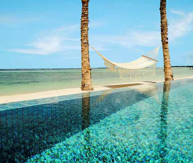 En hängmatta som är upphängd mellan två palmer vid en pool och en tropisk strand. (AI-genererad text)