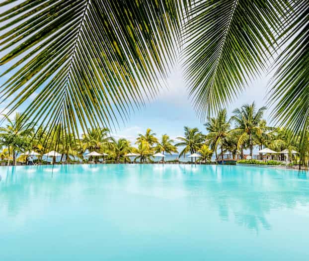 Stor pool omgiven av palmträd och parasoller. (AI-genererad text)