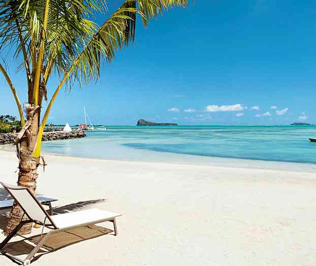 En sandstrand med en palm och solstolar vid vattnet. I bakgrunden syns segelbåtar och en liten ö. (AI-genererad text)