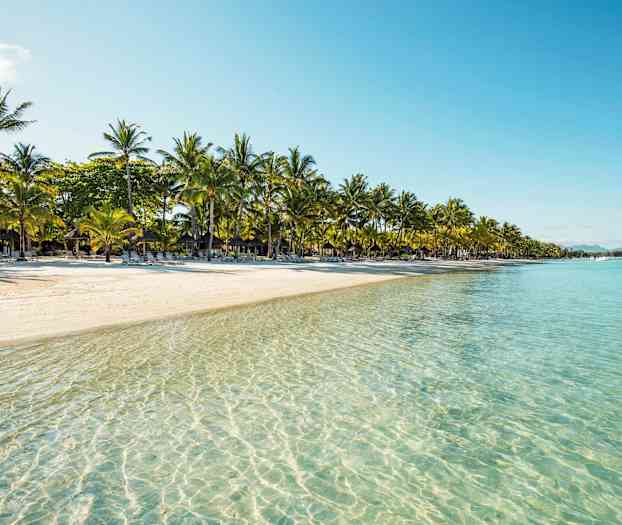 En sandstrand med palmer och klart vatten. (AI-genererad text)