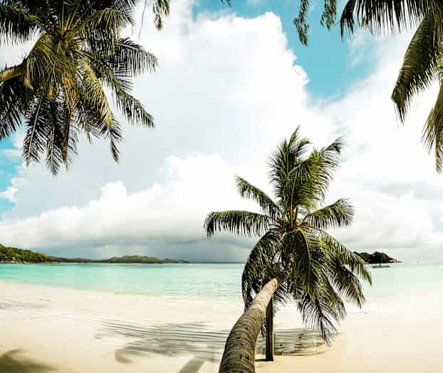 En strand med vit sand och palmer vid ett turkost hav under en klar blå himmel. (AI-genererad text)