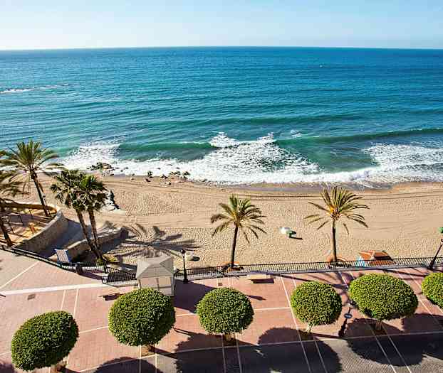 Vy över en strand med palmer och blått hav. (AI-genererad text)