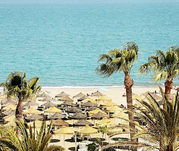 En strand med parasoller och solstolar, och palmträd i förgrunden. (AI-genererad text)