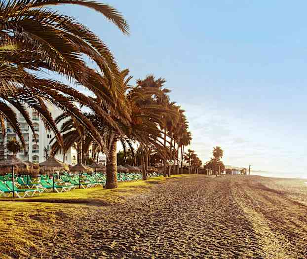 En sandstrand med solstolar och parasoller, omgiven av palmer och byggnader i bakgrunden. (AI-genererad text)