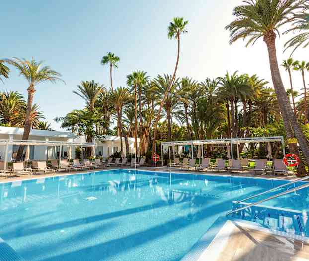 En utomhuspool omgiven av solstolar och palmer. (AI-genererad text)