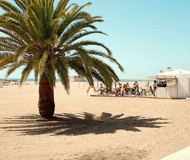 En strand med en palm i förgrunden, ett café med sittplatser bredvid. (AI-genererad text)