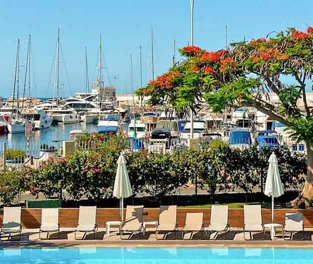 En pool i förgrunden med solstolar och parasoller, en färgglad blommande trädgren i mitten och en småbåtshamn i bakgrunden. (AI-genererad text)