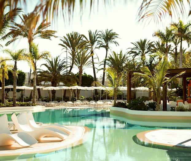 En utomhuspool omgiven av solstolar och palmer. (AI-genererad text)