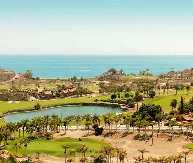 Utsikt över en grönskande park med träd, byggnader och havet i bakgrunden. (AI-genererad text)