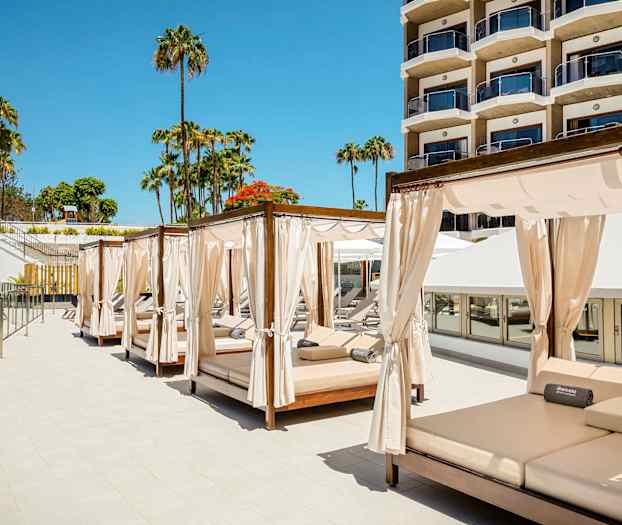 Bild av solbäddar med gardiner vid en hotellpool, med palmer och en byggnad i bakgrunden. (AI-genererad text)