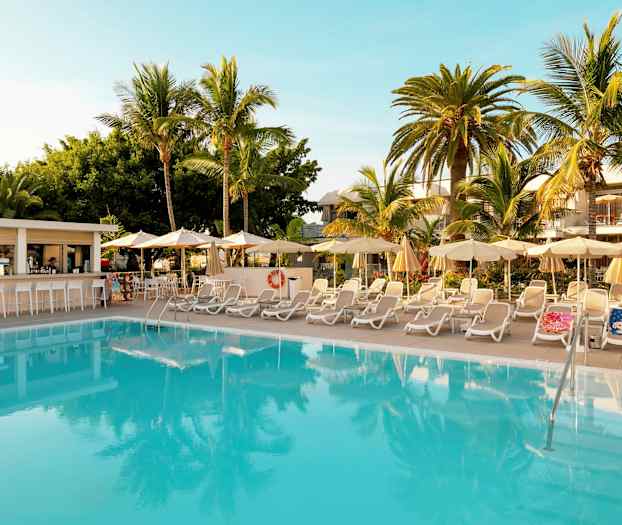 Utomhuspool omgiven av solstolar och parasoller med palmer i bakgrunden. (AI-genererad text)