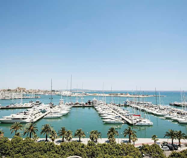 Marina med många båtar förtöjda vid bryggor, omgiven av vatten och med palmer i förgrunden. (AI-genererad text)