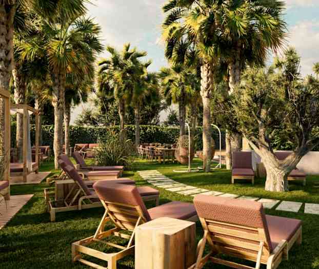 En trädgård med solstolar, bord och stolar bland palmer och annan vegetation. (AI-genererad text)