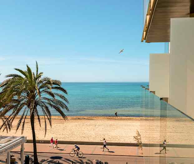Vy från en byggnad mot en strand, med palmer, gångväg och cyklister, samt havet i bakgrunden. (AI-genererad text)