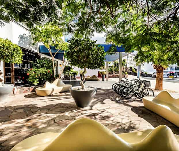 Utemiljö med moderna sittmöbler, cyklar och träd samt grön vegetation under skuggande träd. (AI-genererad text)