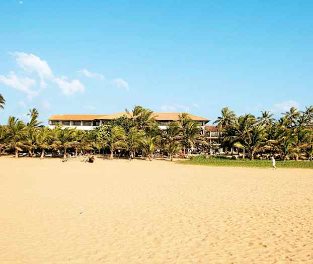 En strand med gyllene sand, palmer och en byggnad i bakgrunden under en klar blå himmel. (AI-genererad text)