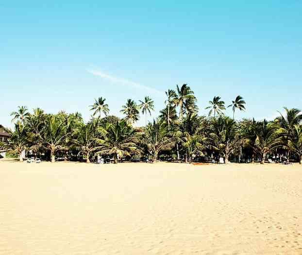 En strand med gyllene sand, många palmer och byggnader som skymtar. Solstolar finns uppställda på stranden. (AI-genererad text)