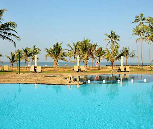 Bild av en pool med solstolar och parasoller på en tropisk plats, omgivet av palmer med havet i bakgrunden. (AI-genererad text)