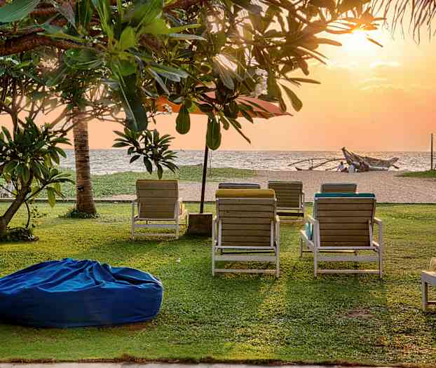 En gräsmatta vid en strand med solstolar och träd under en solnedgång. (AI-genererad text)