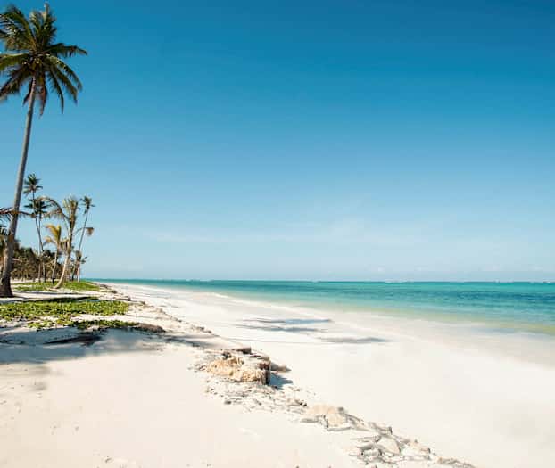 En strand med vit sand, palmer och turkost vatten. (AI-genererad text)