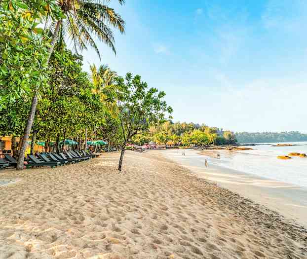 En sandstrand med solstolar som ligger i skuggan av gröna träd och palmer, med havet och en skog i bakgrunden. (AI-genererad text)