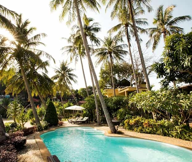 En utomhuspool omgiven av palmer och grönskande trädgård. (AI-genererad text)