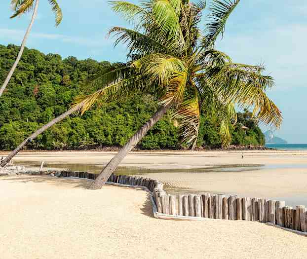 En sandstrand med palmer, en höjd täckt av grönska i bakgrunden och havet synligt i horisonten. (AI-genererad text)