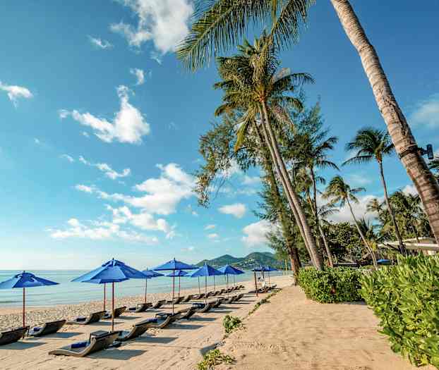 En strand med solstolar och blå parasoller under en klarblå himmel. Palmer omger stranden. (AI-genererad text)