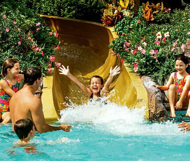 En person åker ner för en gul vattenrutschkana och landar i en pool omgiven av frodig grönska och blommor. Andra personer står och sitter i vattnet och tittar på. (AI-genererad text)