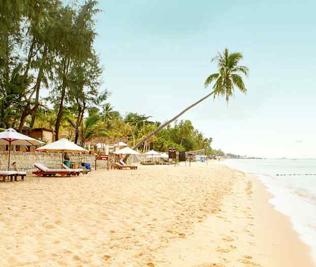 Sandstrand med solstolar och parasoller. Grönska och palmträd i bakgrunden. Havet i högerkant. (AI-genererad text)