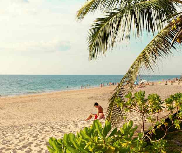 En strand med vit sand och blått hav, omgiven av grönska och palmer. (AI-genererad text)