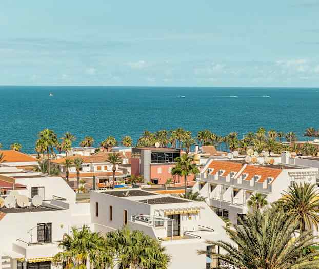 Vy över kuststad med vita byggnader, palmer och havet i bakgrunden. (AI-genererad text)