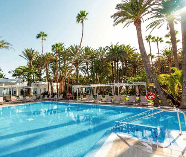 Utomhuspool omgiven av solstolar och palmer. (AI-genererad text)