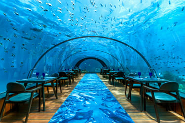 5.8 Undersea Restaurant på Maldiverna