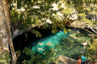 Cenoter, sötvattensfyllda kalkstensgrottor.